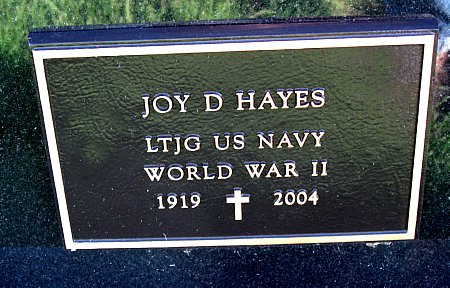 HAYES, JOY D. (MILITARY) - Black Hawk County, Iowa | JOY D. (MILITARY) HAYES 