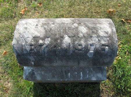 ICKES, ROY - Black Hawk County, Iowa | ROY ICKES 