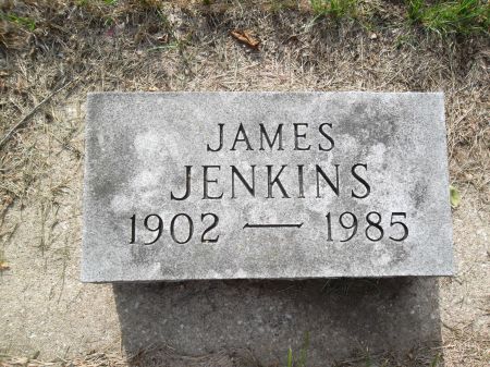 JENKINS, JAMES - Black Hawk County, Iowa | JAMES JENKINS 