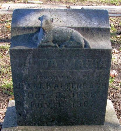 KALTENBACH, HILDA MARIA - Black Hawk County, Iowa | HILDA MARIA KALTENBACH 