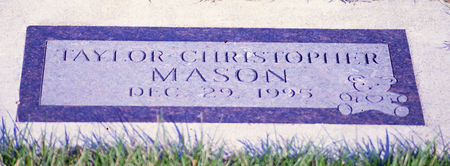 MASON, TAYLOR CHRISTOPHER - Black Hawk County, Iowa | TAYLOR CHRISTOPHER MASON 