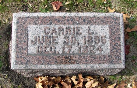 MCFARLANE, CARRIE L. - Black Hawk County, Iowa | CARRIE L. MCFARLANE 