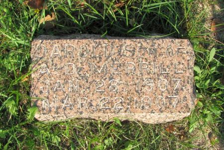 MERRILL, DAROLD - Black Hawk County, Iowa | DAROLD MERRILL 