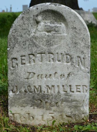 MILLER, GERTRUD N. - Black Hawk County, Iowa | GERTRUD N. MILLER 