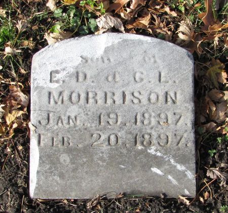MORRISON, HAROLD - Black Hawk County, Iowa | HAROLD MORRISON 