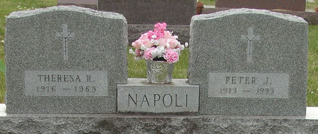NAPOLI, PETER JOHN - Black Hawk County, Iowa | PETER JOHN NAPOLI 