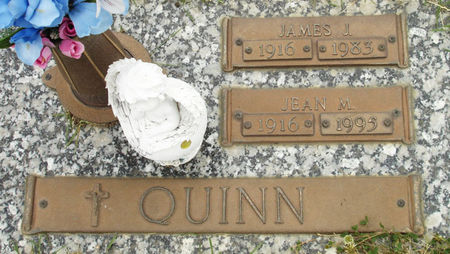 NORRIS QUINN, JEAN M. - Black Hawk County, Iowa | JEAN M. NORRIS QUINN 