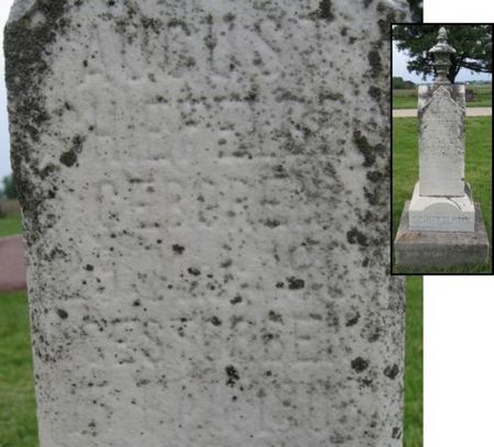 SCHIEFELBEIN, AUGUST - Black Hawk County, Iowa | AUGUST SCHIEFELBEIN 