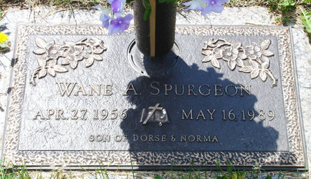 SPURGEON, WANE A. - Black Hawk County, Iowa | WANE A. SPURGEON 