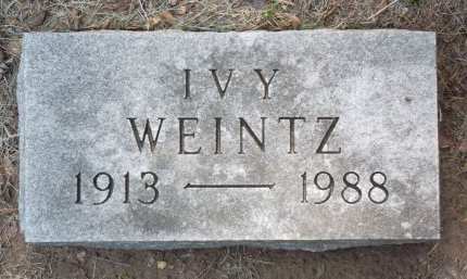 WEINTZ, IVY - Black Hawk County, Iowa | IVY WEINTZ 