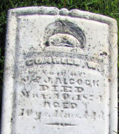 ALCOCK, CHARLES W. - Bremer County, Iowa | CHARLES W. ALCOCK 