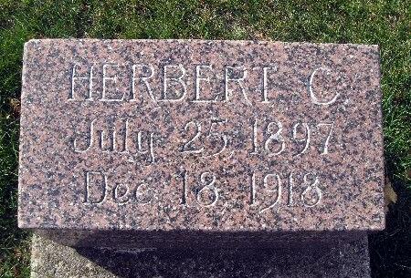 BRANDT, HERBERT C - Bremer County, Iowa | HERBERT C BRANDT 