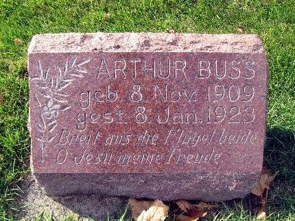 BUSS, ARTHUR - Bremer County, Iowa | ARTHUR BUSS 