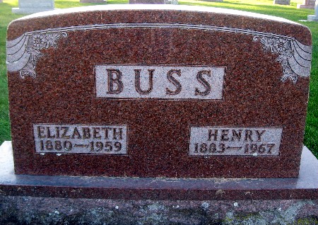 BUSS, HENRY - Bremer County, Iowa | HENRY BUSS 