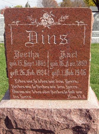 DINS, BERTHA - Bremer County, Iowa | BERTHA DINS 