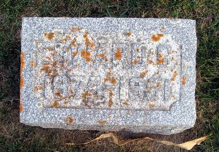 JOHNSON, EDWARD G - Bremer County, Iowa | EDWARD G JOHNSON 