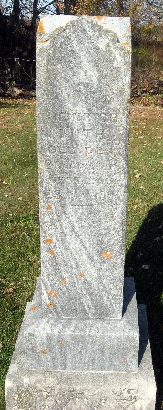 LUTH, HEINRICH - Bremer County, Iowa | HEINRICH LUTH 