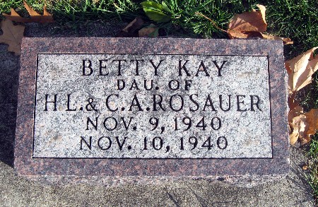 ROSAUER, BETTY KAY - Bremer County, Iowa | BETTY KAY ROSAUER 