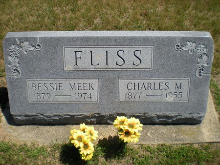 FLISS, BESSIE - Buchanan County, Iowa | BESSIE FLISS 