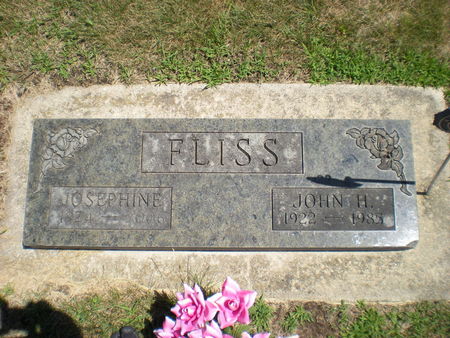 FLISS, JOSEPHINE - Buchanan County, Iowa | JOSEPHINE FLISS 
