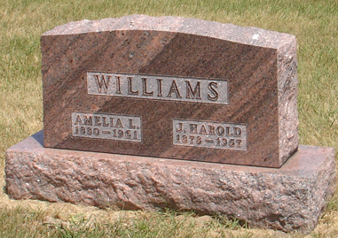 LEHMAN WILLIAMS, AMELIA L. - Buchanan County, Iowa | AMELIA L. LEHMAN WILLIAMS 