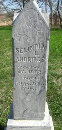 ANDRIDGE, SELINDA - Buena Vista County, Iowa | SELINDA ANDRIDGE 