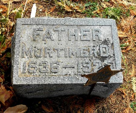 BOYCE, MORTIMER D - Buena Vista County, Iowa | MORTIMER D BOYCE 