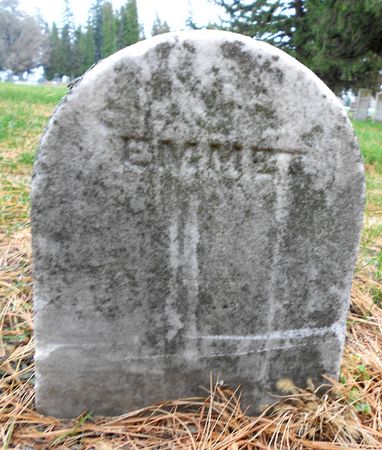 DRIVER, EMMET - Buena Vista County, Iowa | EMMET DRIVER 