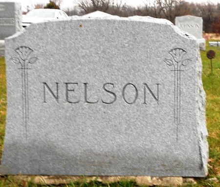 NELSON, FAMILY MONUMENT - Buena Vista County, Iowa | FAMILY MONUMENT NELSON 