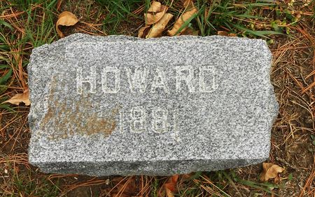 STETSON, HOWARD - Buena Vista County, Iowa | HOWARD STETSON 