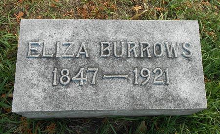 WATERMAN, ELIZA - Buena Vista County, Iowa | ELIZA WATERMAN 