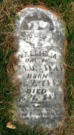 WAY, NELLIE M, - Buena Vista County, Iowa | NELLIE M, WAY 