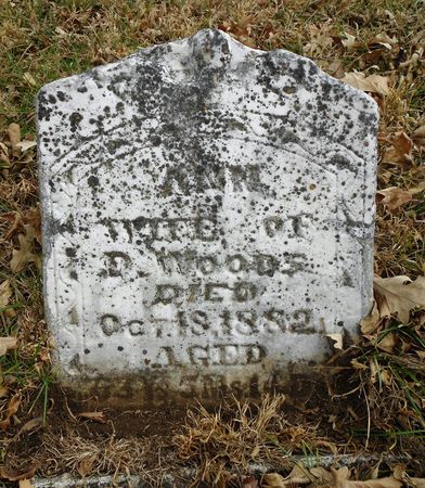 WOOD, ANN - Buena Vista County, Iowa | ANN WOOD 