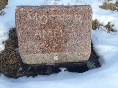 ROHWEDDER, AMELIA - Butler County, Iowa | AMELIA ROHWEDDER 