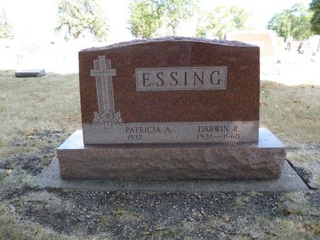 ESSING, DARWIN R. - Calhoun County, Iowa | DARWIN R. ESSING 