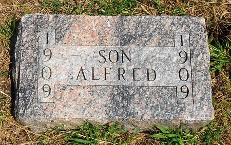 HOLTORF, ALFRED - Calhoun County, Iowa | ALFRED HOLTORF 