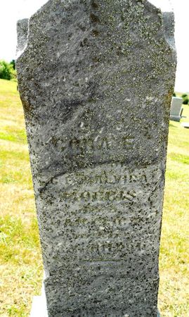 MORRIS, CORA E - Calhoun County, Iowa | CORA E MORRIS 