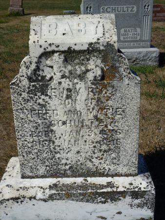 SCHULTZ, HENRY - Calhoun County, Iowa | HENRY SCHULTZ 