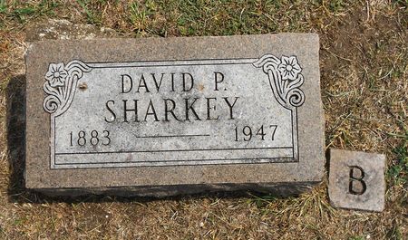SHARKEY, DAVID P - Calhoun County, Iowa | DAVID P SHARKEY 