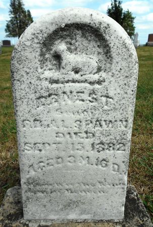 SPAWN, ERNEST - Calhoun County, Iowa | ERNEST SPAWN 