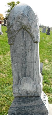 SPENCER, ETHEL M - Calhoun County, Iowa | ETHEL M SPENCER 