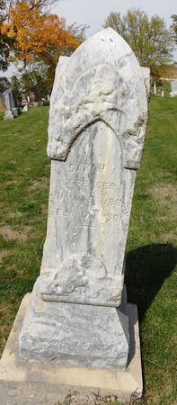SPENCER, SARAH A - Calhoun County, Iowa | SARAH A SPENCER 