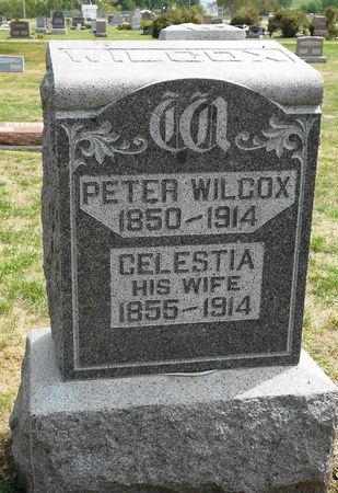 WILCOX, CELESTIA - Calhoun County, Iowa | CELESTIA WILCOX 