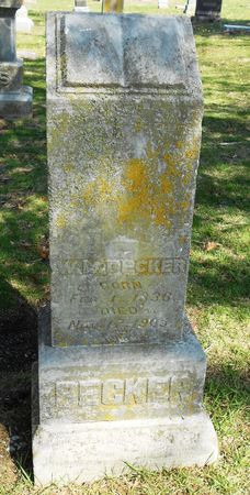 BECKER, W L - Carroll County, Iowa | W L BECKER 