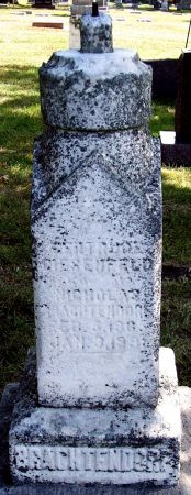 BRACHTENDORF, GERTRUDE - Carroll County, Iowa | GERTRUDE BRACHTENDORF 