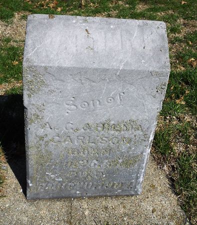 CARLSON, WALTER B - Carroll County, Iowa | WALTER B CARLSON 
