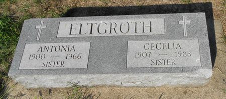 ELTGROTH, CECELIA FRANCES - Carroll County, Iowa | CECELIA FRANCES ELTGROTH 