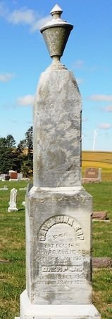 ERP, DETLEF JR. - Carroll County, Iowa | DETLEF JR. ERP 