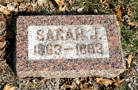 GILLESPIE, SARAH J - Carroll County, Iowa | SARAH J GILLESPIE 