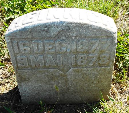 HINZE, HEINRICH - Carroll County, Iowa | HEINRICH HINZE 